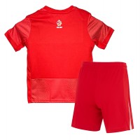 Poland Replica Away Minikit Euro 2024 Short Sleeve (+ pants)